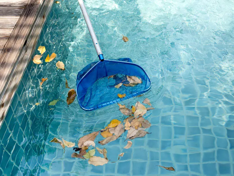 Havuz Bakımı